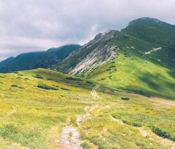 引领科技浪潮的在线手机号平台